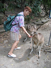 056 Cairns Tropical Zoo